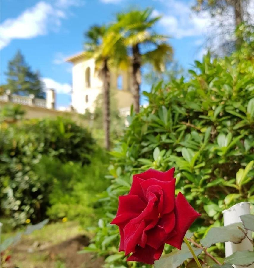 Amra Park-Hotel & Spa Gagra Eksteriør billede